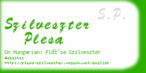 szilveszter plesa business card